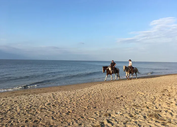 Apartment Belle Epoque Holidays